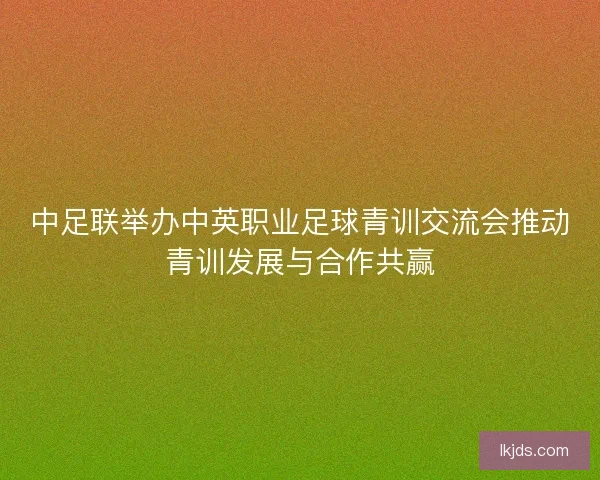 中足联举办中英职业足球青训交流会推动青训发展与合作共赢